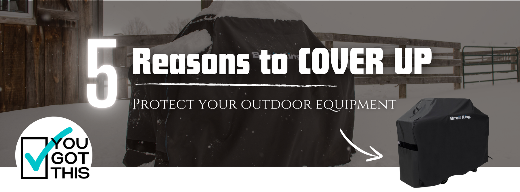 Top 5 Reasons to Invest in a BBQ Cover