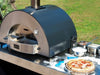 BBQing.com Alfa Classico 2 Pizze Pizza Oven FXCL-2P-GGRA-U