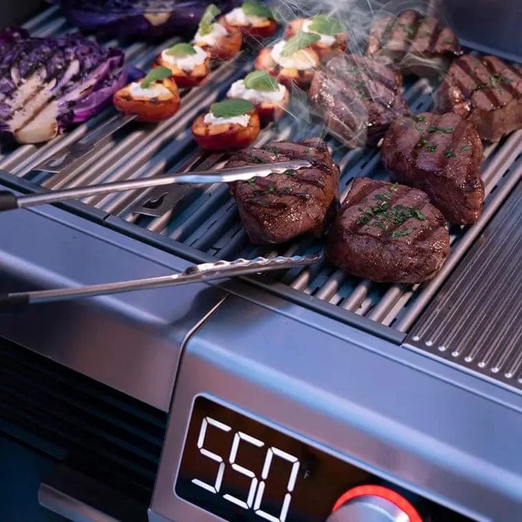 Charbroil Charbroil Edge Electric Grill Electric / Stainless Steel 24652150 Freestanding Electric BBQ