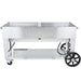 Crown Verity Crown Verity 60" Rental Grill with Dual Crash Bars Hanldes On Each End Lp CV-RCB-60 Propane / Stainless Steel CV-RCB-60 Freestanding Gas Grill CV-RCB-60