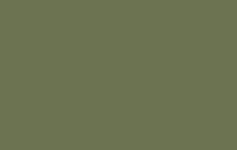 Napa Valley Olive