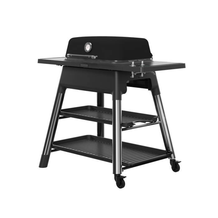 Everdure Everdure 2 Burner Gas BBQ Force Freestanding Gas Grill