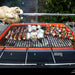 Everdure Everdure HUB 54-Inch Charcoal Grill with Rotisserie & Electronic Ignition (Matte Black) - HBCE2BBUS HBCE2BBUS