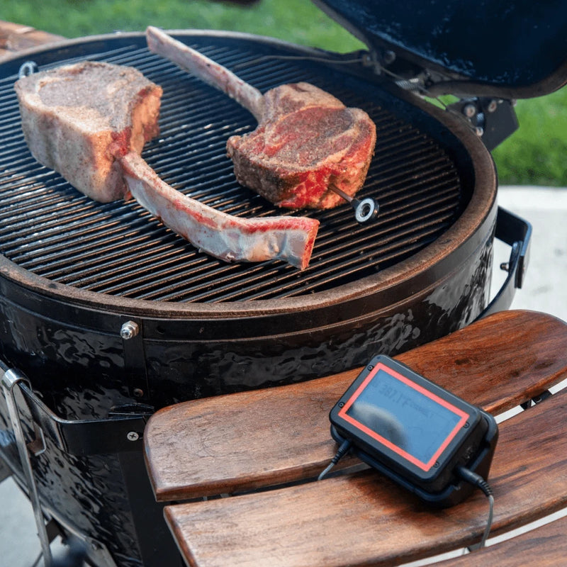 FireBoard FireBoard Pulse Wireless Temperature Probe Temperature Probe