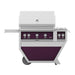 Hestan Hestan 36" Deluxe Grill with Double Side Burner Lush Purple / Natural Gas / 0 GABR36CX2-NG-PP Freestanding Gas Grill