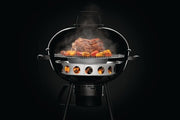 Napoleon Napoleon 67745 Charcoal Ring and Diffuser Plate 67745 Accessory Smoker Box & Smoker Tray 629162677457