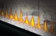 Napoleon Napoleon CLEARion Elite 60 See Through Built-In Electric Fireplace Electric NEFBD60HE Built-In Electric Fireplace 629169079896