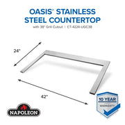 Napoleon Napoleon OASIS 42" x 24" Stainless Steel Countertop for 38" Grill Head CT-4224-UGC38 Outdoor Kitchen Countertops 629162161109
