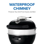 Napoleon Napoleon Professional 22" Charcoal Kettle Grill Charcoal / Black PRO22K-LEG-3 Freestanding Charcoal Grill 629162147011