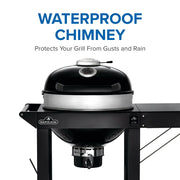 Napoleon Napoleon Professional 22" Charcoal Kettle Grill with Cart Charcoal / Black PRO22K-CART-3 Freestanding Charcoal Grill 629162147028