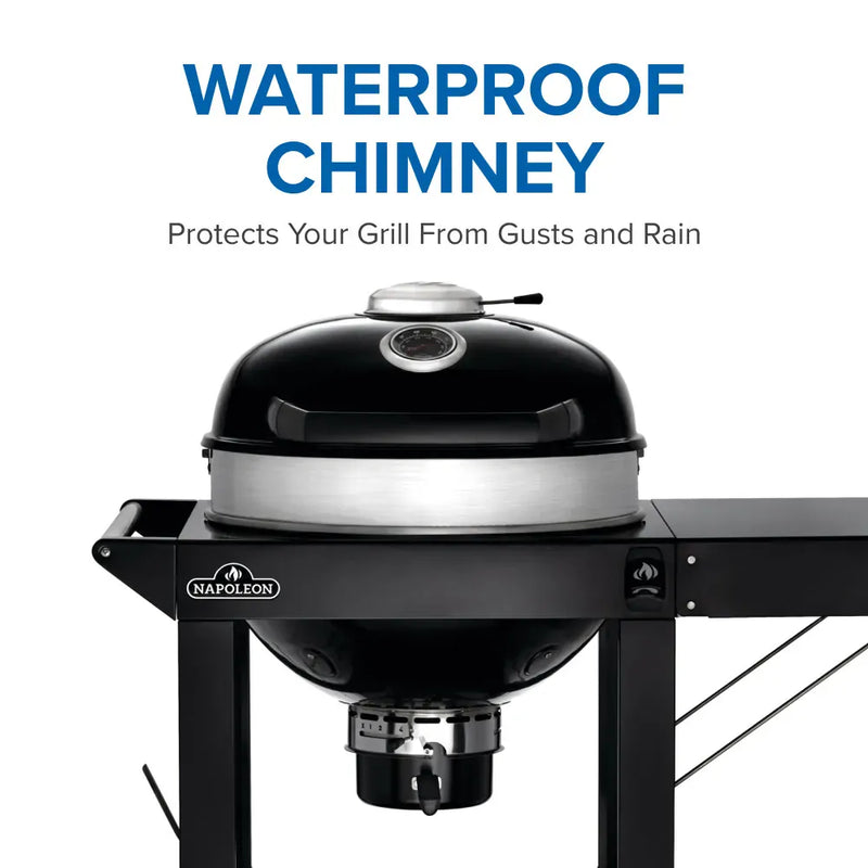 Napoleon Napoleon Professional 22" Charcoal Kettle Grill with Cart Charcoal / Black PRO22K-CART-3 Freestanding Charcoal Grill 629162147028