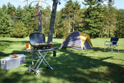 Napoleon Napoleon TravelQ 285X (Red) Portable Propane BBQ with Scissor Cart & Griddle TQ285X-RD-1-A Propane / Red TQ285X-RD-1-A Portable Gas Grill 629162133939
