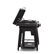 Traeger Traeger Flatrock 2 Zone Griddle Propane / Black TF2NN46DNC Freestanding Gas Griddle