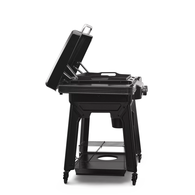 Traeger Traeger Flatrock 2 Zone Griddle Propane / Black TF2NN46DNC Freestanding Gas Griddle