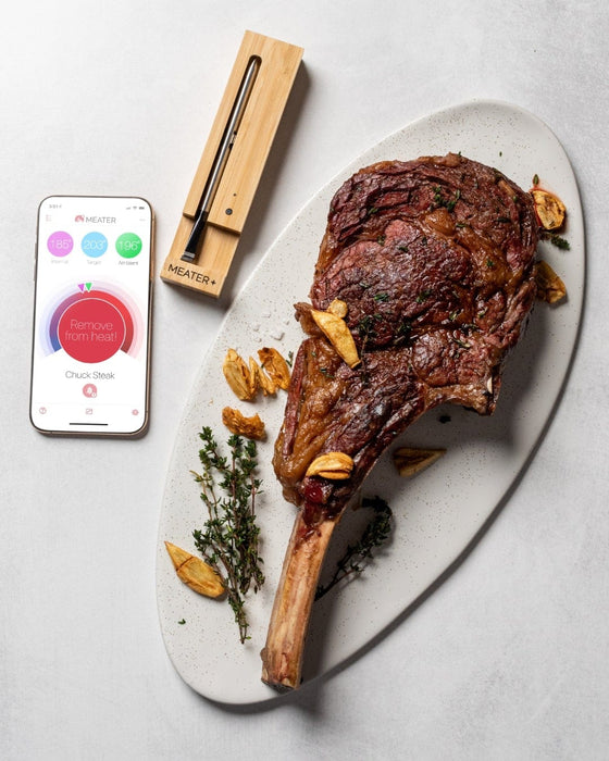 https://bbqing.com/cdn/shop/files/traeger-traeger-meater-plus-wireless-meat-thermometer-honey-rt1-mt-mp01-accessory-thermometer-wireless-634868941825-29037332824126_560x700.jpg?v=1698007934