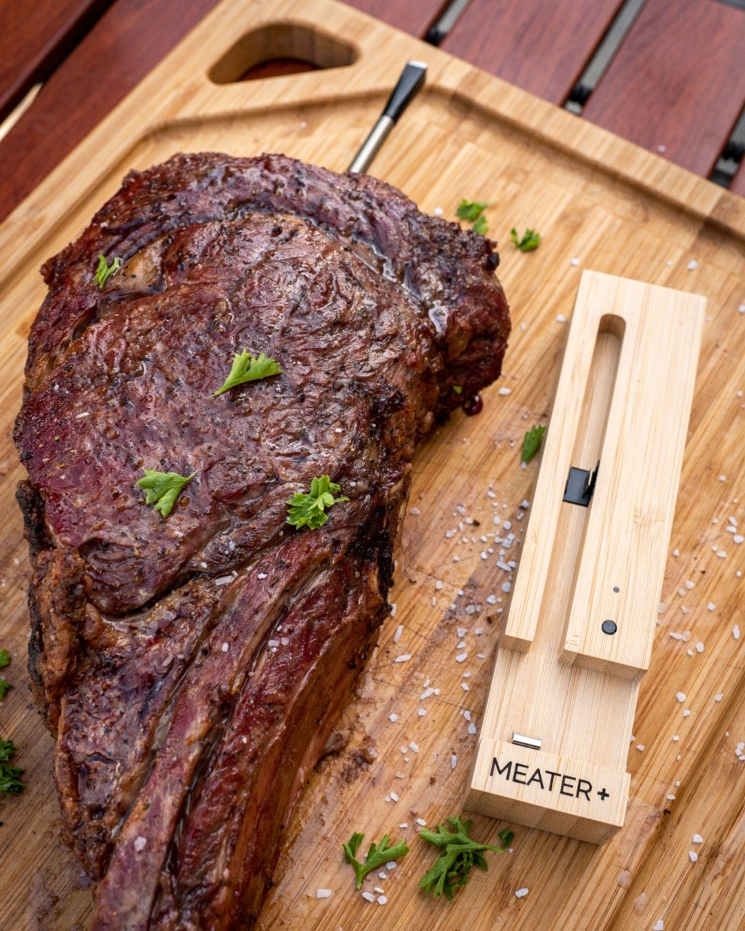 Traeger Traeger Meater Plus Wireless Meat Thermometer (Honey) RT1-MT-MP01 Accessory Thermometer Wireless 634868941825