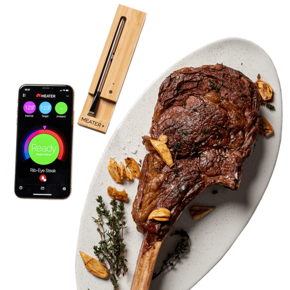 Traeger Traeger Meater Plus Wireless Meat Thermometer (Honey) RT1-MT-MP01 Accessory Thermometer Wireless 634868941825