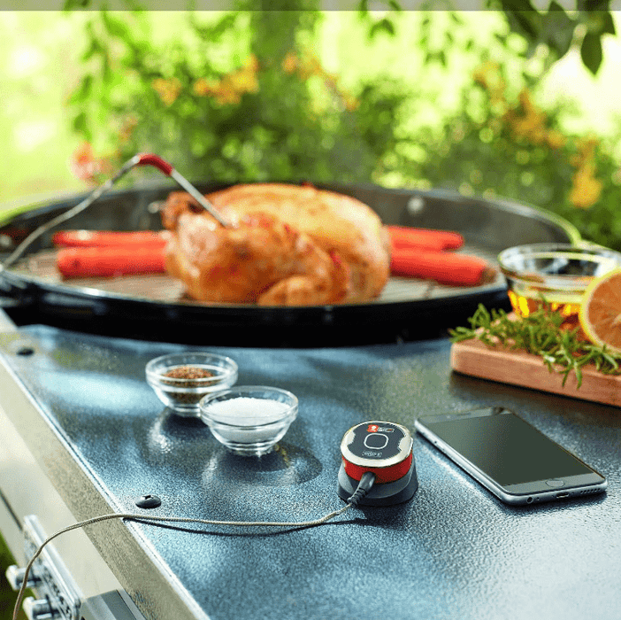 Weber iGrill Mini 7202 BBQing