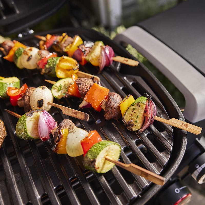Weber Weber Q 2800N+ Gas Grill with Stand Portable Gas Grill