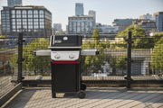 Weber Weber Spirit E-210 2-Burner Gas Grill Propane / Black 1501000 Freestanding Gas Grill 077924893599