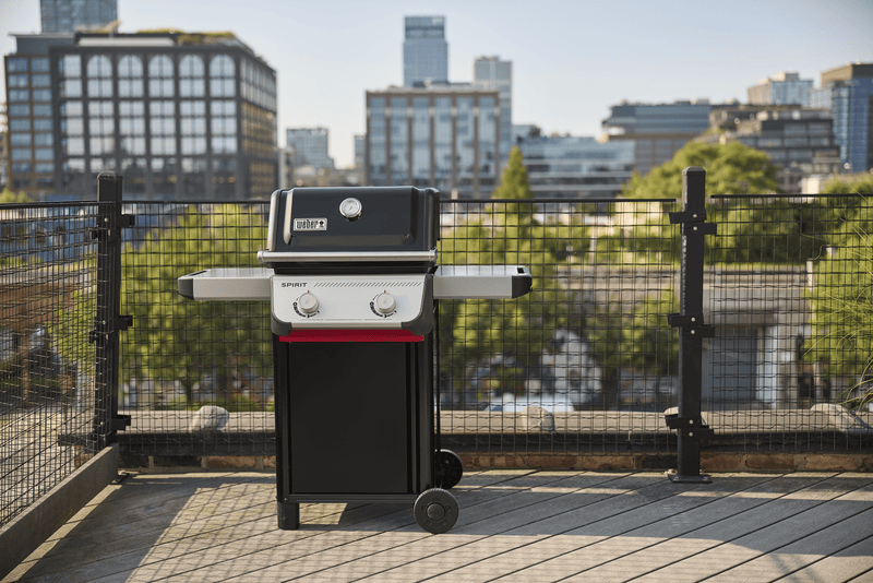 Weber Weber Spirit E-210 2-Burner Gas Grill Propane / Black 1501000 Freestanding Gas Grill 077924893599