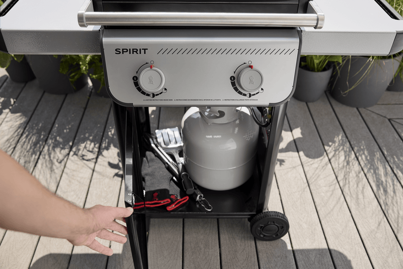 Weber Weber Spirit E-210 2-Burner Gas Grill Propane / Black 1501000 Freestanding Gas Grill 077924893599