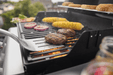 Weber Weber Spirit E-210 2-Burner Gas Grill Propane / Black 1501000 Freestanding Gas Grill 077924893599