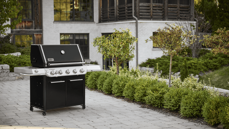 Weber Weber Summit FS38 Gas Grill Freestanding Gas Grill