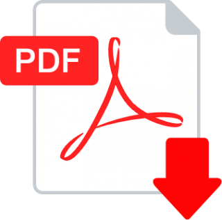 Brochure PDF icon